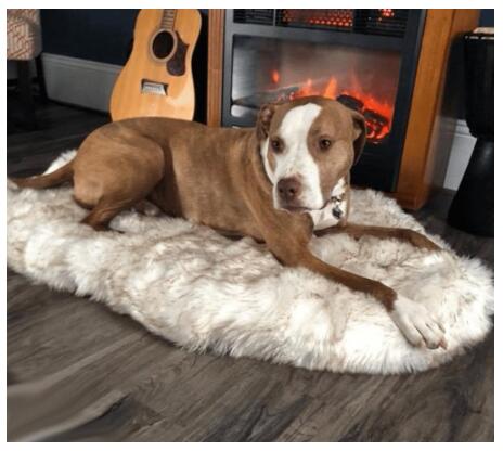 Pet Dog Supplies Faux Fur Thick Dog Mat for Large Dogs