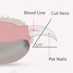 Pet Nail Clipper with Built-in Safety Lock Mechanism