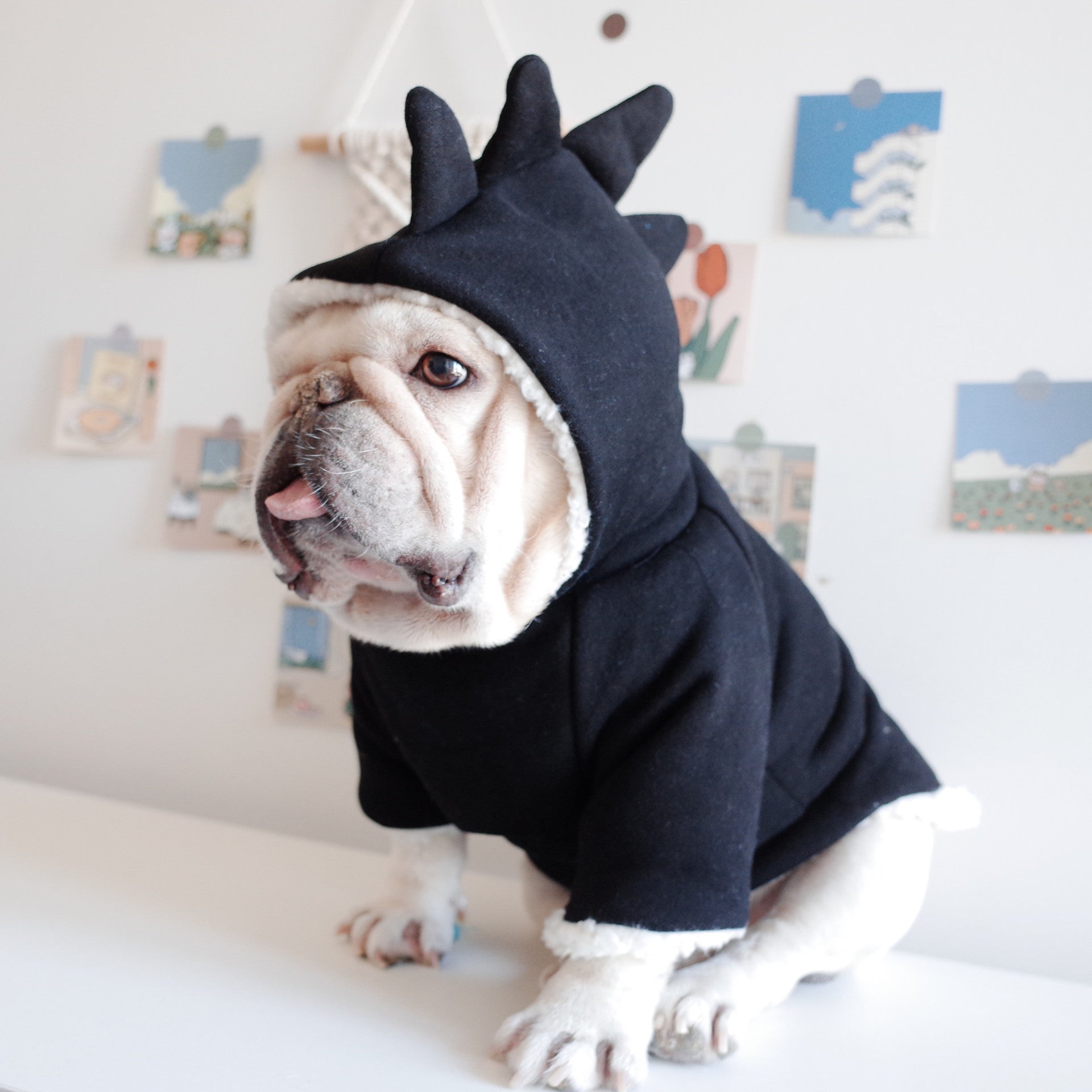 Dinosaur Hooded Sweater for Dogs in Lamb Fleece