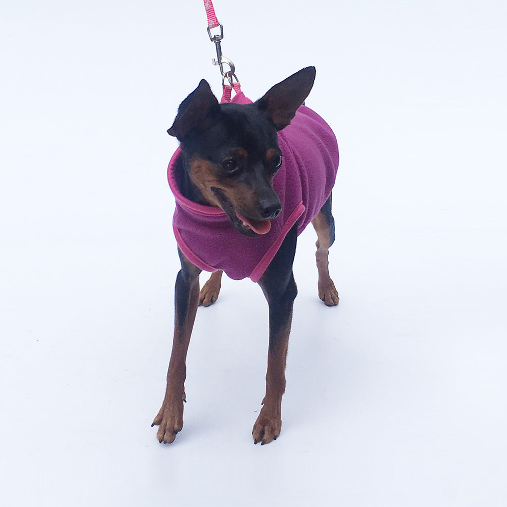 Polar Fleece Dog Clothes for Pets