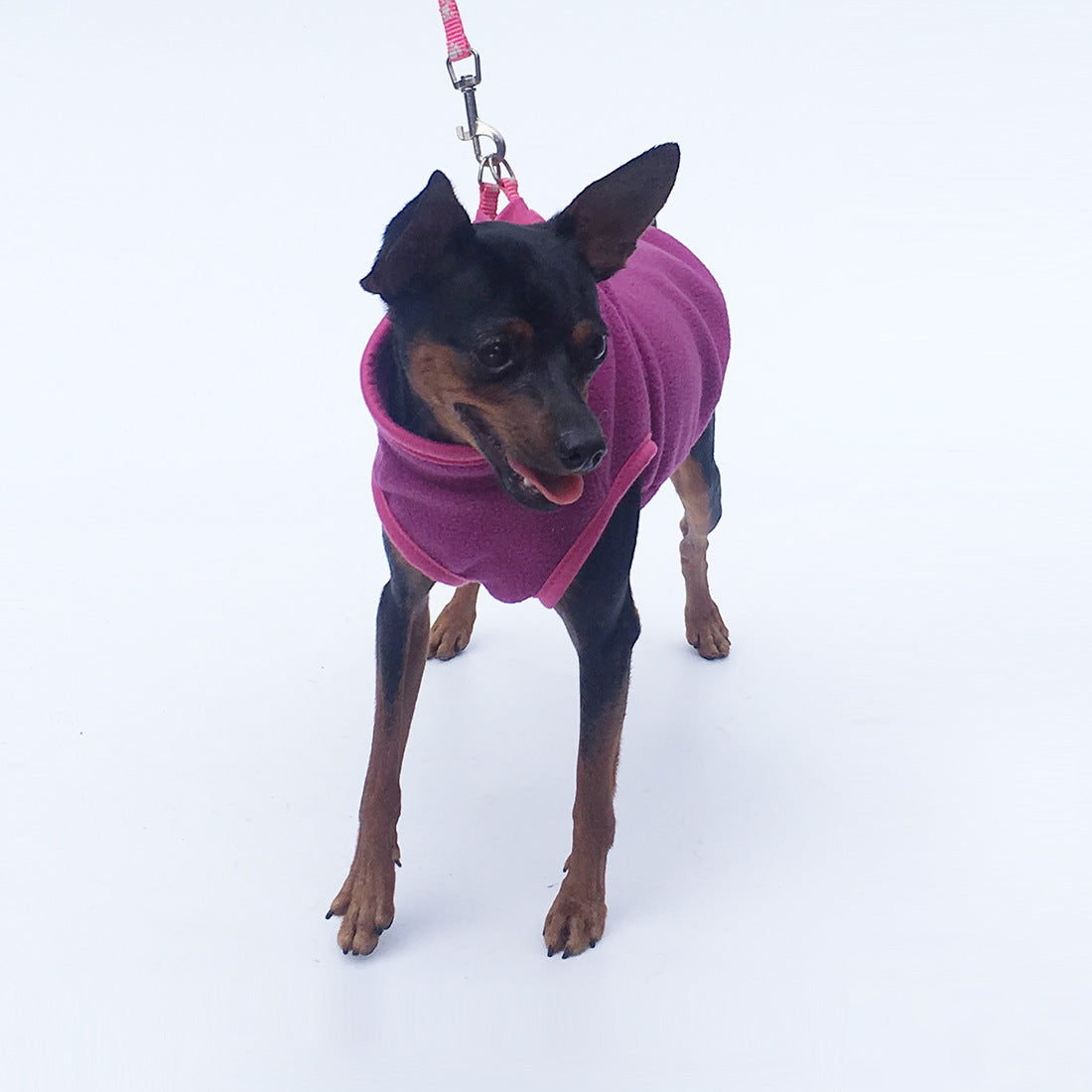 Polar Fleece Dog Clothes for Pets