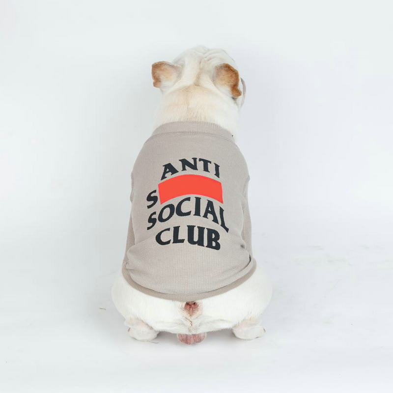 New Two-Legged Casual Dog Clothing for Pets
