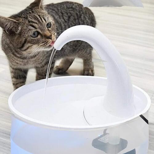 Tabby cat drinking fresh running water from automatic white pet water fountain dispenser