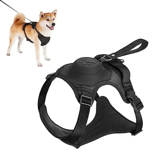 Dog wearing red harness with automatic retractable leash kit