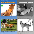 Close up of metal buckle and retractable leash on dog harness