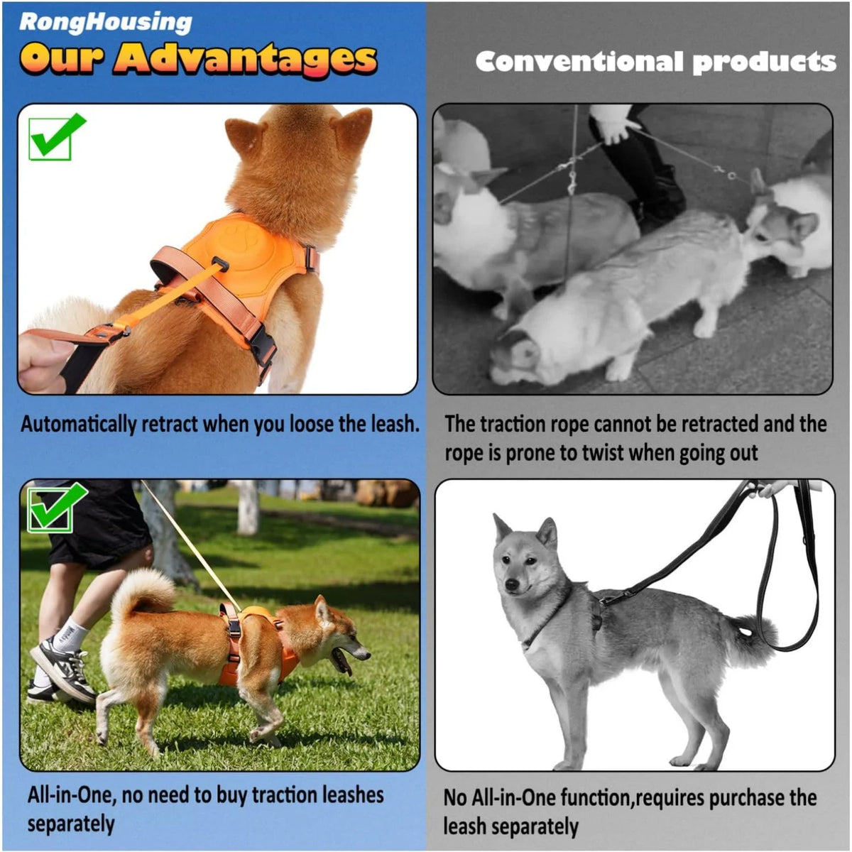 Close up of metal buckle and retractable leash on dog harness