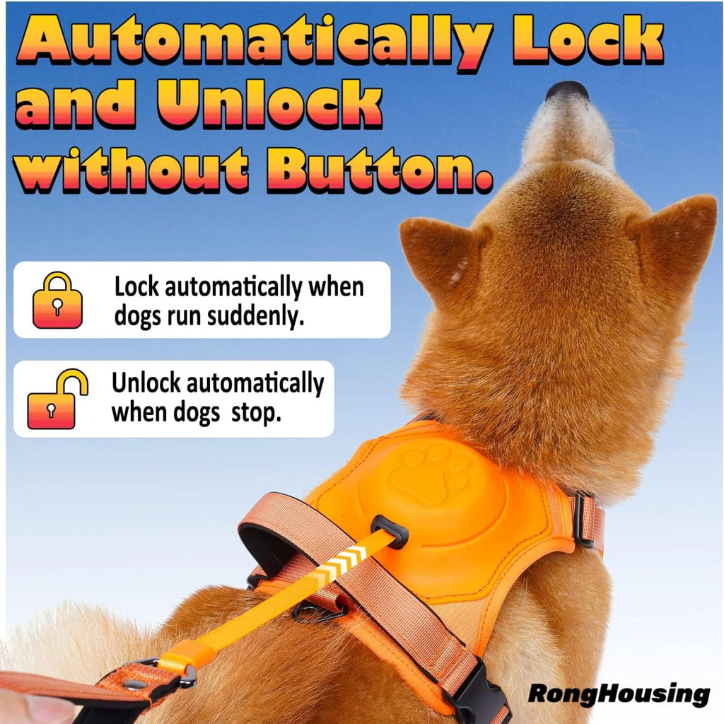 Dog harness and automatic retractable leash kit for outdoor walking
