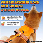 Dog harness and automatic retractable leash kit for outdoor walking