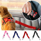 Dog wearing safety harness attached to pet car seat belt leash