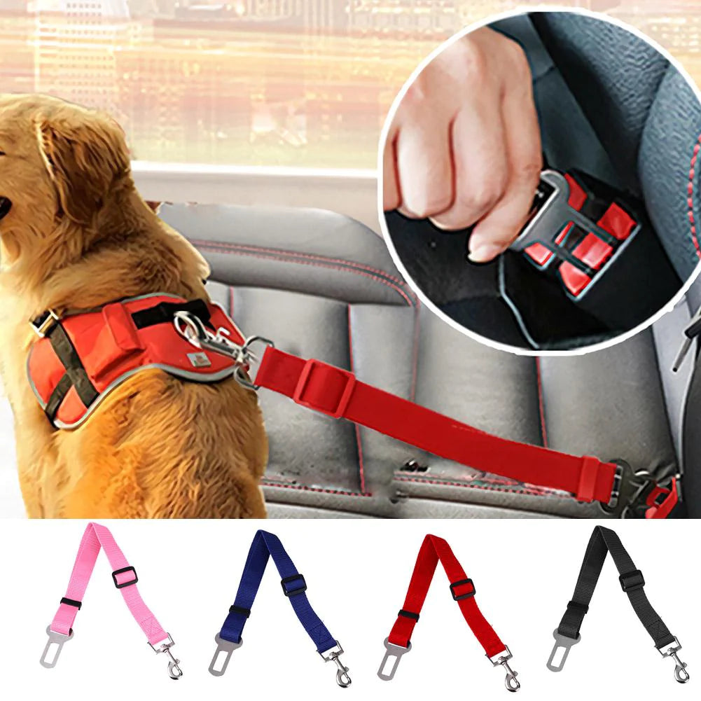 Dog wearing safety harness attached to pet car seat belt leash
