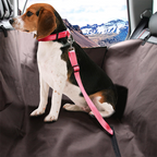 Dog sitting comfortably in back seat with pet car seat belt tether