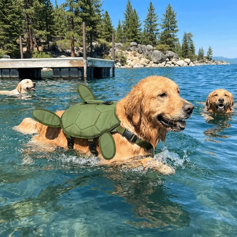 Adjustable straps and buckle on dog turtle swimming vest