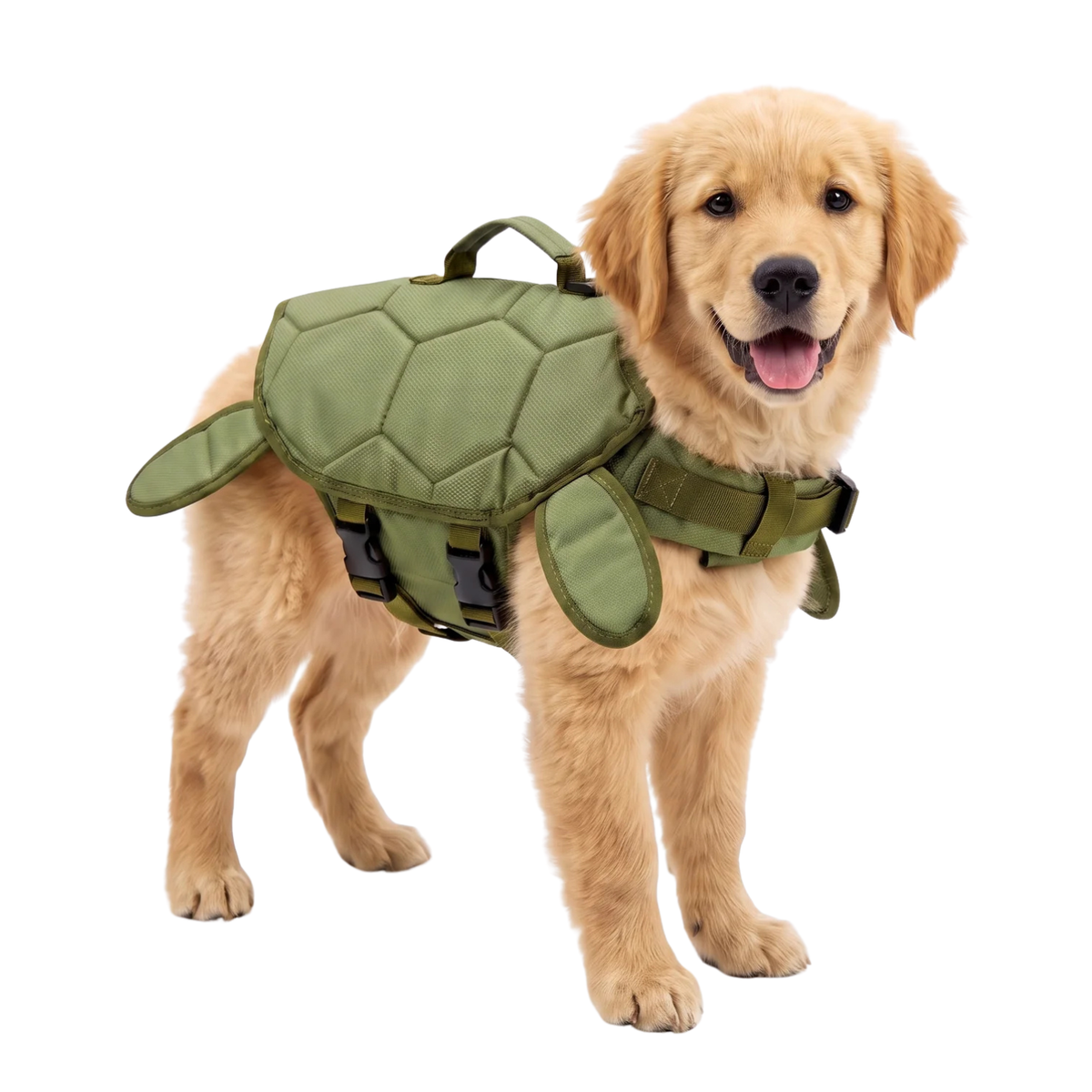 Dog wearing turtle shell life jacket swimming vest in water