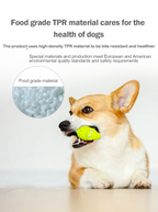 Noisy Puppy Molar Pet Toys for Playtime Fun