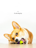 Noisy Puppy Molar Pet Toys for Playtime Fun