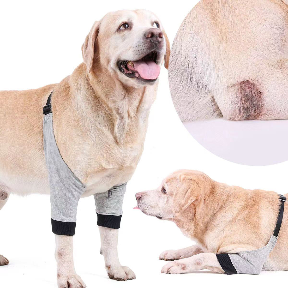 Dog Injury Protection Sleeve for Pets - Joint and Knee Guard