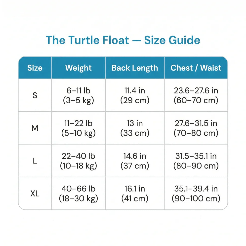 Cute dog wearing green turtle design pet swimming safety vest
