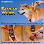 Heavy duty dog harness and lockable automatic retractable leash