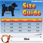 No pull dog harness connected to automatic retractable leash