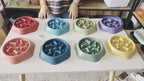 Intelligent Dog Slow Feeder Training Bowl