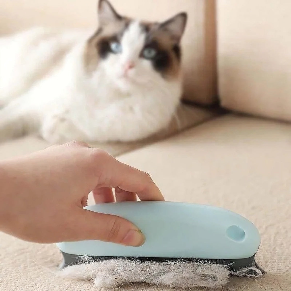 Reusable pet hair remover tool cleaning cat fur off couch sofa