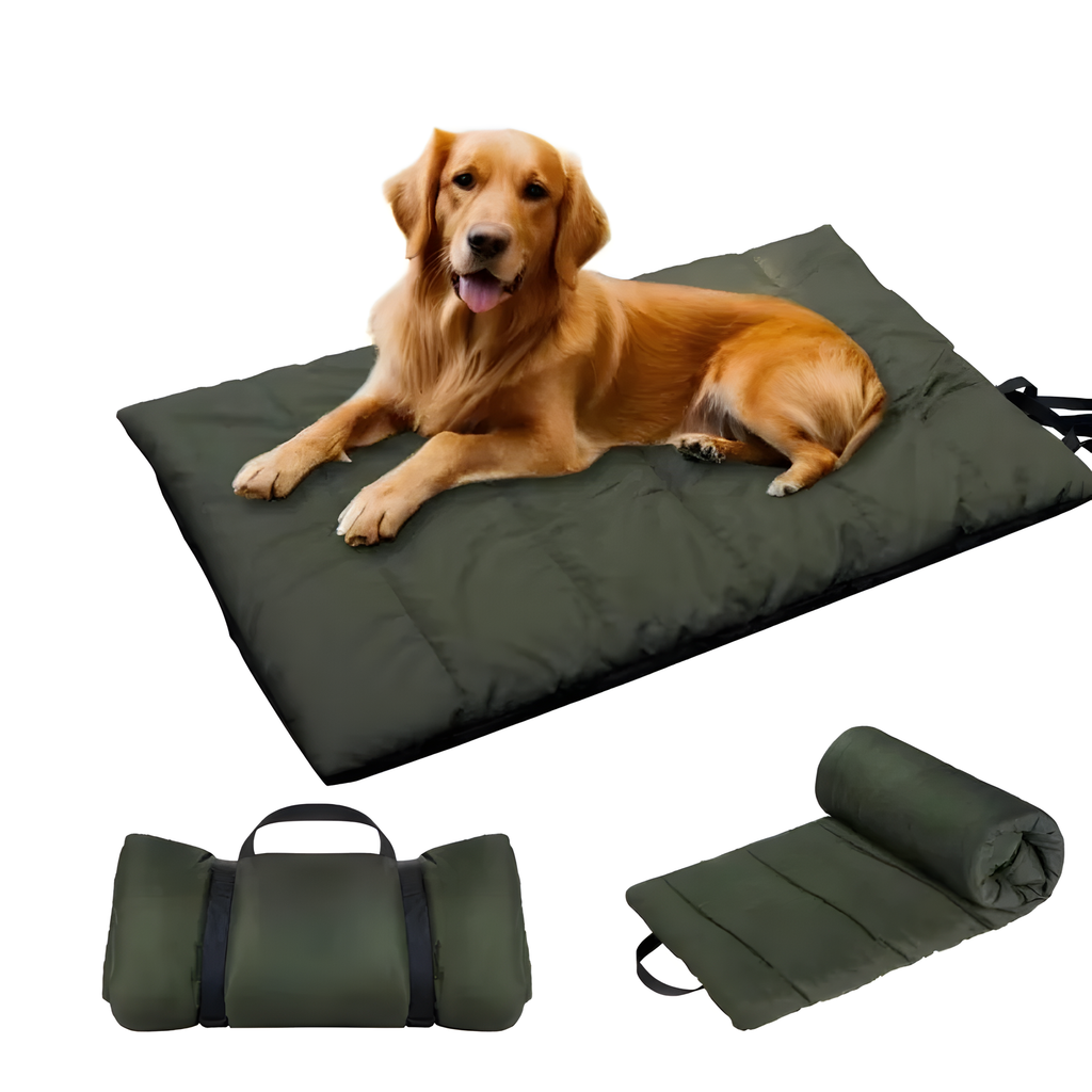 Golden retriever lying on an army green roll-up dog travel mat with portable carrying straps