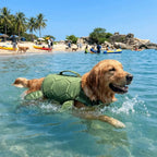 Back view of green turtle shell design on dog swimming vest