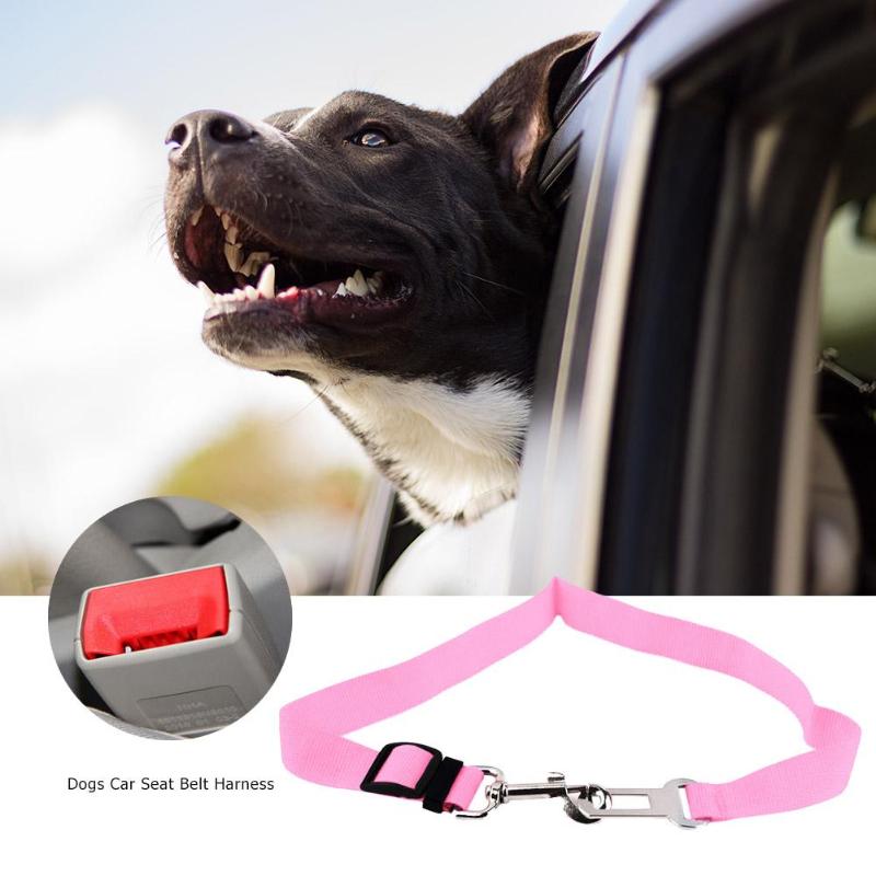 Universal pet car seat belt clip buckle for vehicle safety